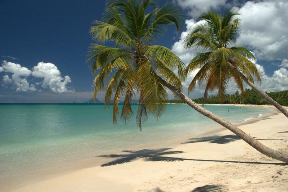 Holidays In Martinique - Ravenala Sainte-Anne Ngoại thất bức ảnh