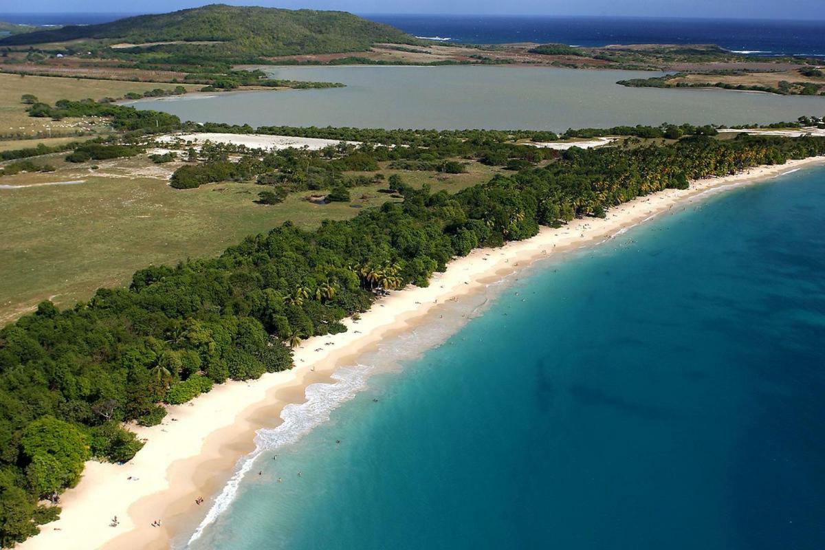 Holidays In Martinique - Ravenala Sainte-Anne Ngoại thất bức ảnh