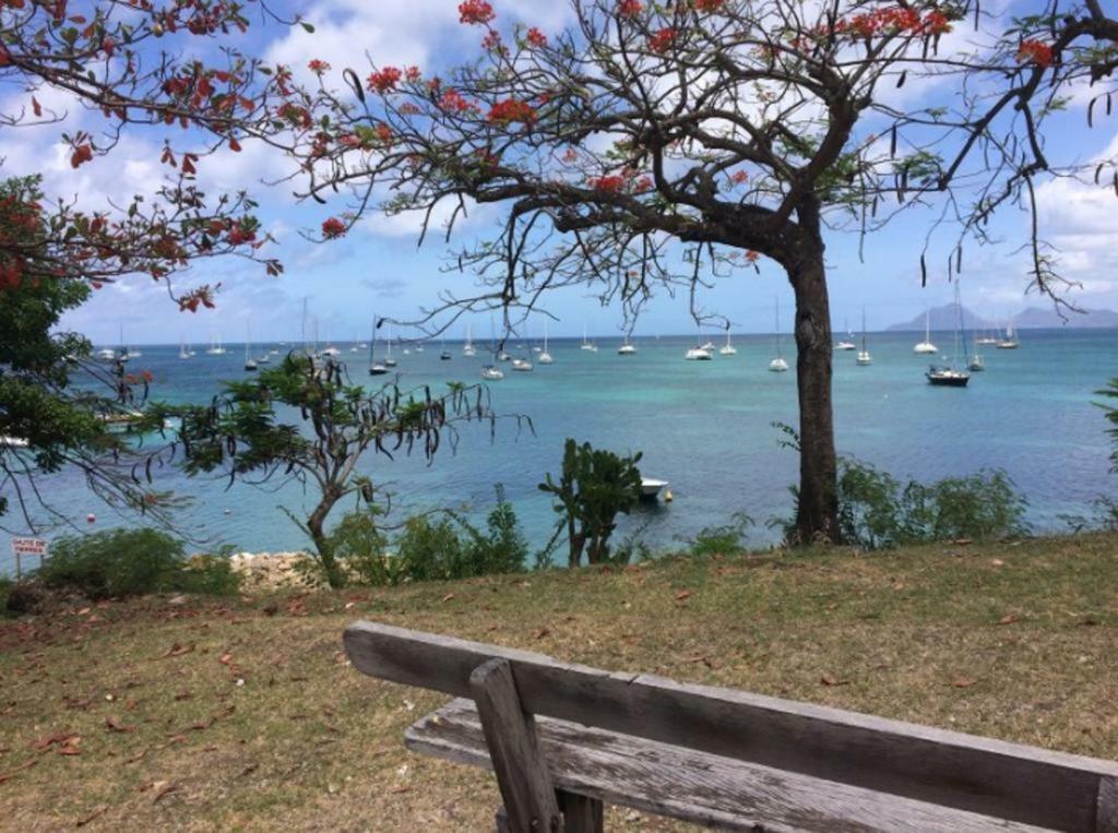 Holidays In Martinique - Ravenala Sainte-Anne Ngoại thất bức ảnh
