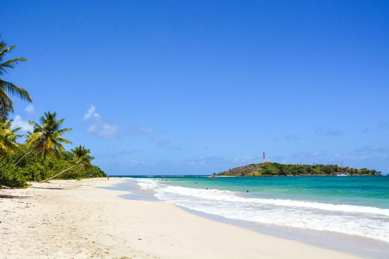 Holidays In Martinique - Ravenala Sainte-Anne Ngoại thất bức ảnh