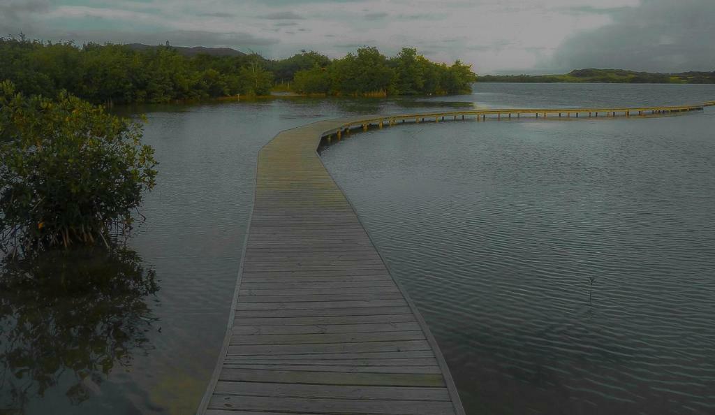 Holidays In Martinique - Ravenala Sainte-Anne Ngoại thất bức ảnh