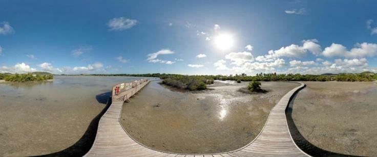 Holidays In Martinique - Ravenala Sainte-Anne Ngoại thất bức ảnh